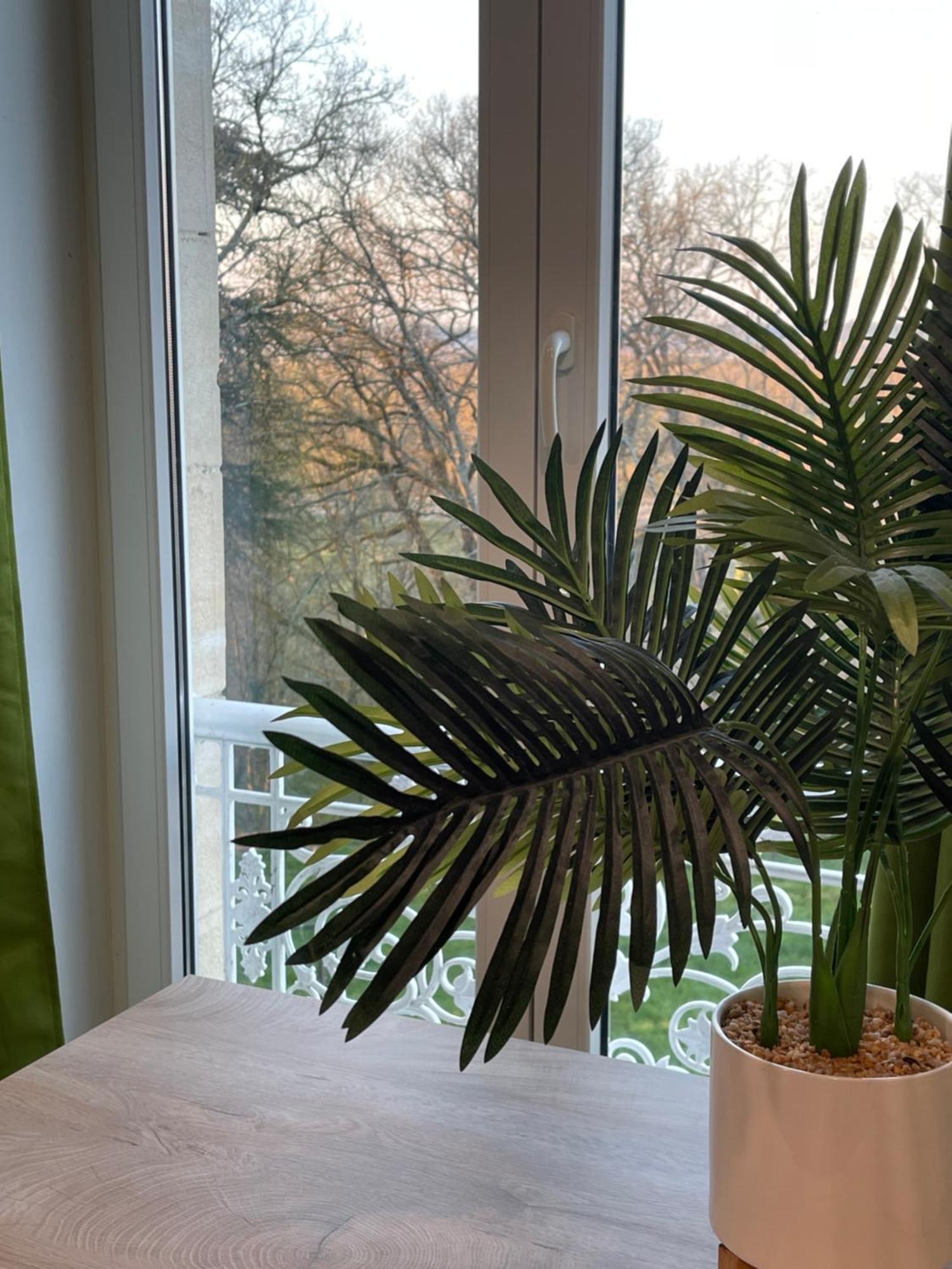 T2 De Charme Dans Un Chateau Layrac Eksteriør billede